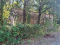 /album/27-septembre-les-berges-de-lherault/v-7-1-jpg/